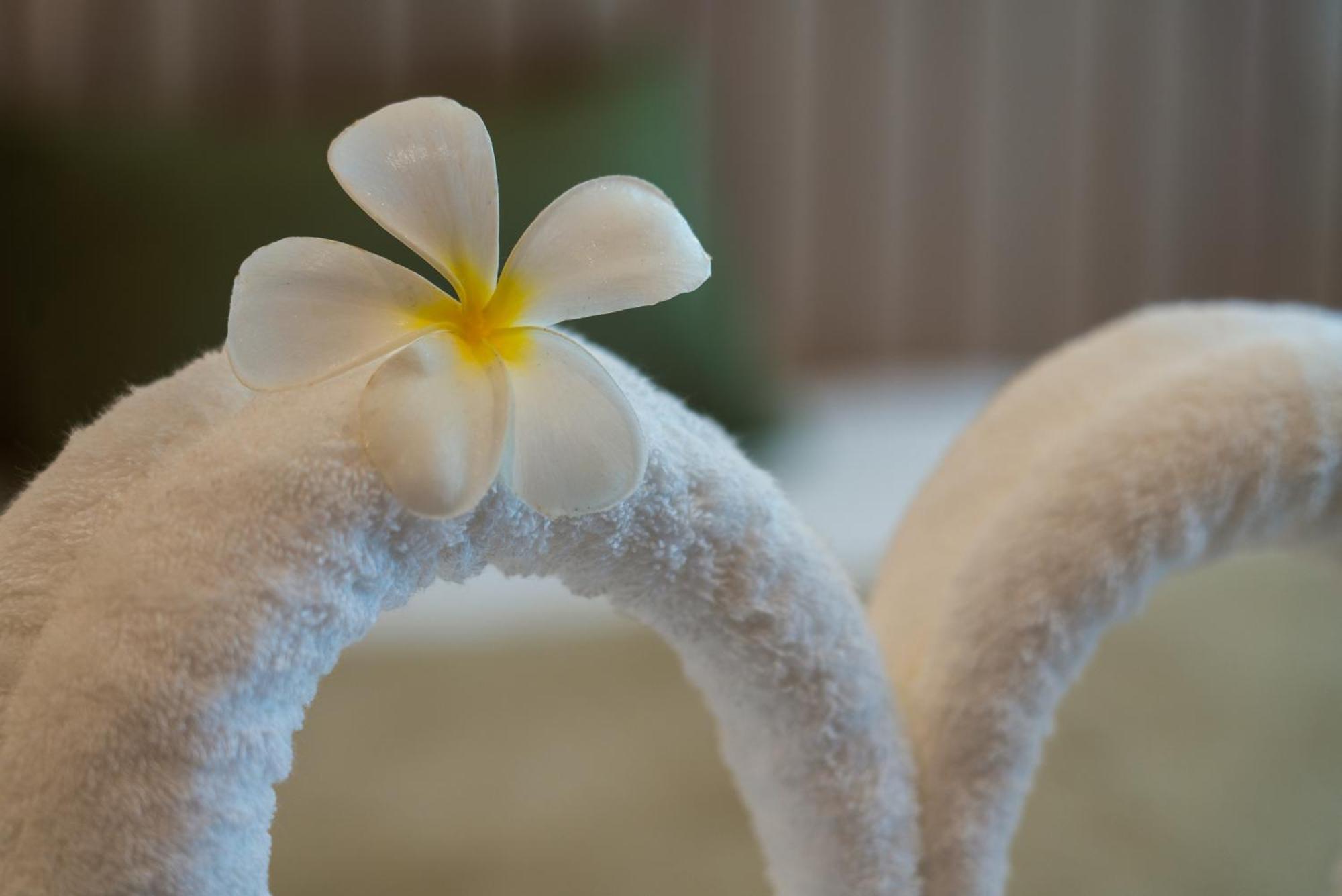 קטה ביץ' Niranapa Boutique Resort מראה חיצוני תמונה