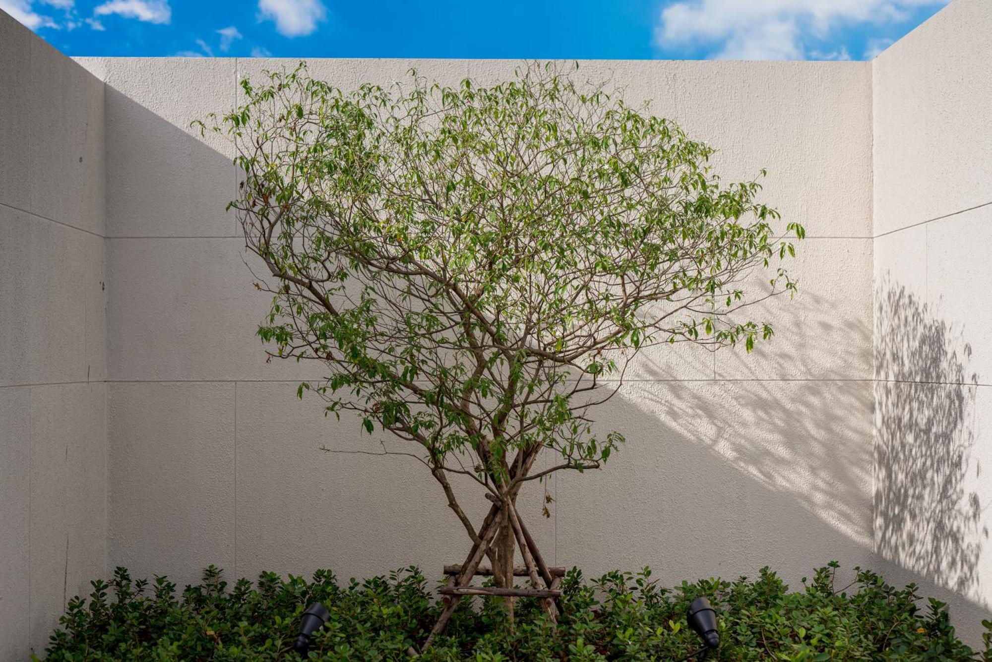 קטה ביץ' Niranapa Boutique Resort מראה חיצוני תמונה